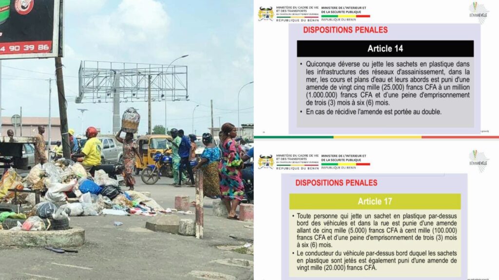 Article : Bénin : Pionnier dans l’élaboration des lois pour la protection de l’environnement