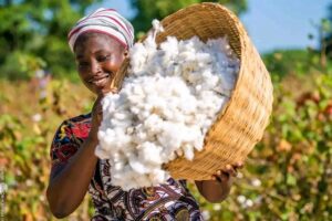 Article : Journée mondiale du coton : les acteurs internationaux du secteur réunis à Cotonou au Bénin