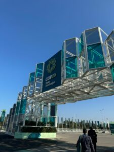 Article : COP29 à Bakou en Azerbaïdjan : un rendez-vous déterminant pour le climat