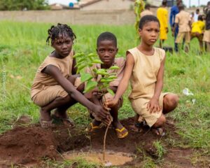 Article : Ils sont à la fois victimes et acteurs du changement